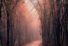 完美电竞-法国国家队内部会议纪要流出：最后时刻队长鼓劲，欧超杯使命明确，临场指挥获称赞的简单介绍